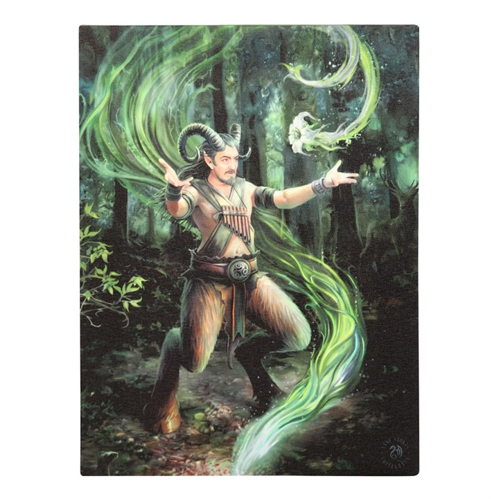19x25cm Earth Element Wizard Canvas Wall Print Plaque by Anne Stokes