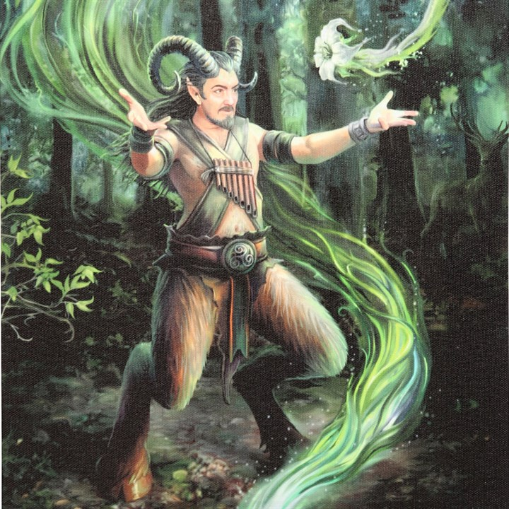 19x25cm Earth Element Wizard Canvas Wall Print Plaque by Anne Stokes