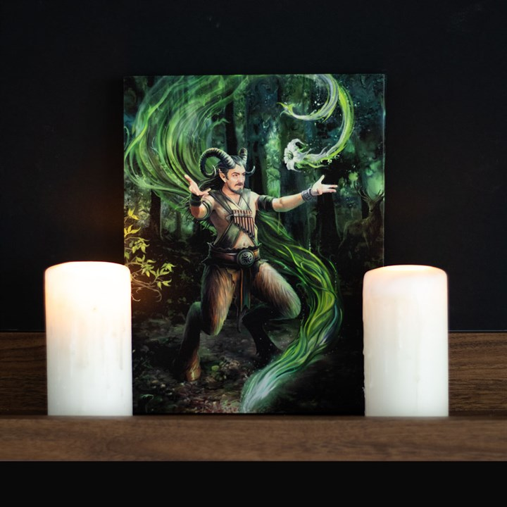 19x25cm Earth Element Wizard Canvas Wall Print Plaque by Anne Stokes