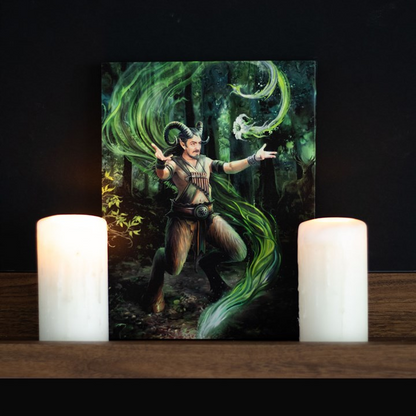 19x25cm Earth Element Wizard Canvas Wall Print Plaque by Anne Stokes