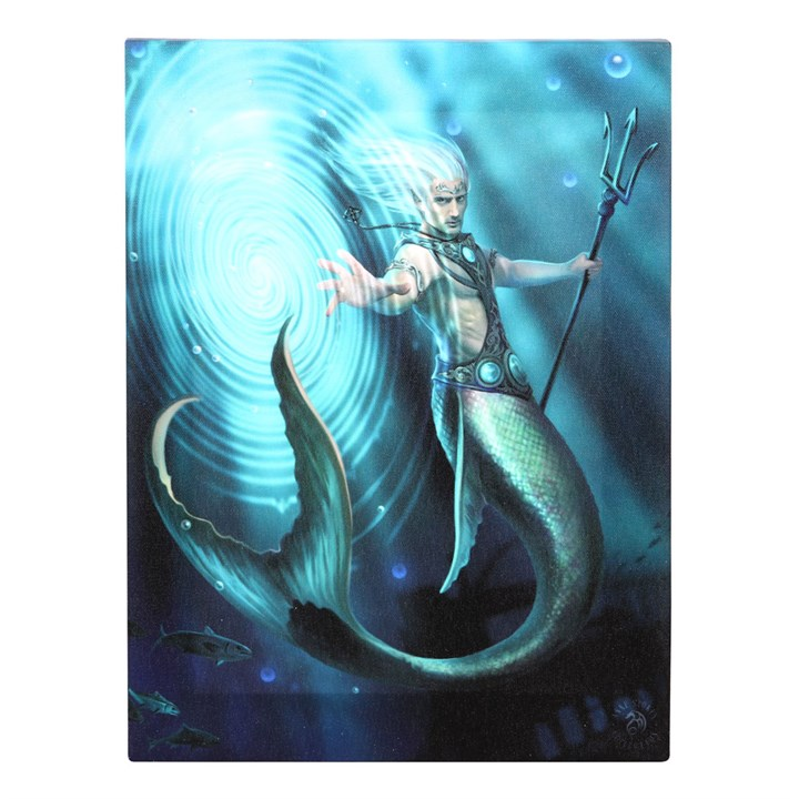 19x25cm Water Element Wizard Canvas Wall Print Plaque by Anne Stokes