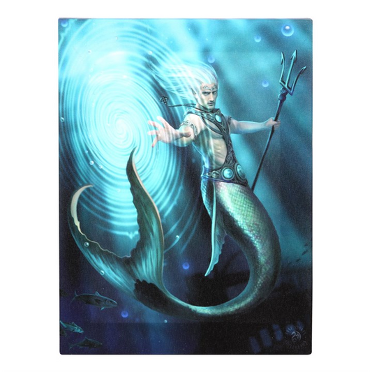 19x25cm Water Element Wizard Canvas Wall Print Plaque by Anne Stokes