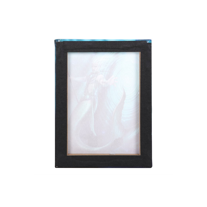 19x25cm Water Element Wizard Canvas Wall Print Plaque by Anne Stokes