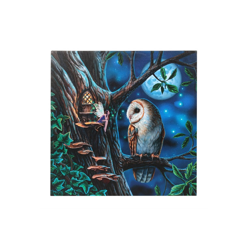 Fairy Tales Light Up Canvas Wall Print Plaque by Lisa Parker