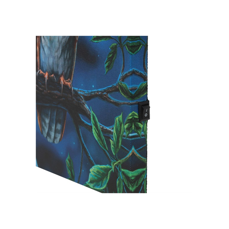 Fairy Tales Light Up Canvas Wall Print Plaque by Lisa Parker