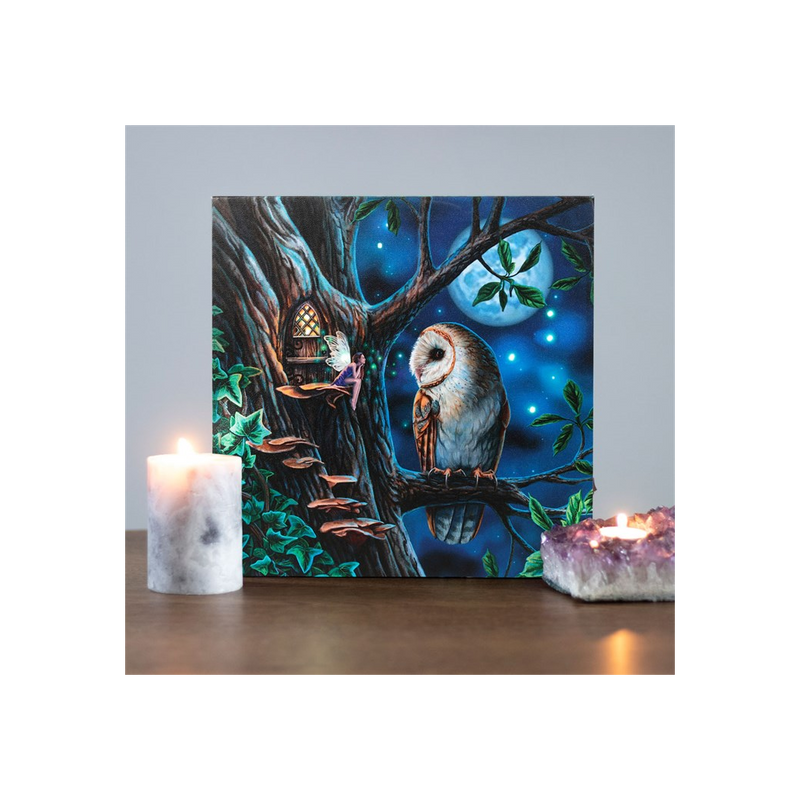 Fairy Tales Light Up Canvas Wall Print Plaque by Lisa Parker