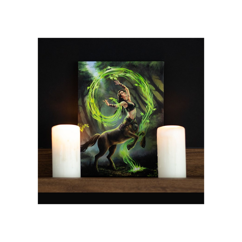 19x25cm Earth Element Sorceress Canvas Wall Print Plaque by Anne Stokes
