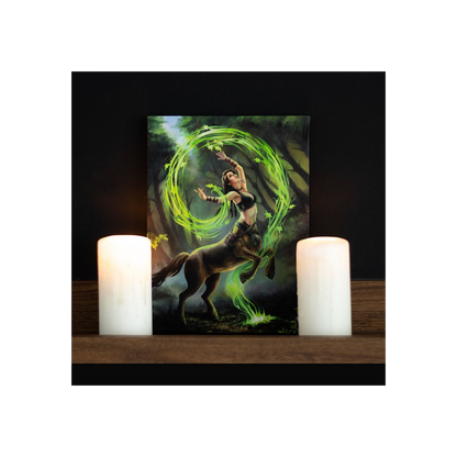 19x25cm Earth Element Sorceress Canvas Wall Print Plaque by Anne Stokes
