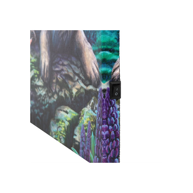 Fairy Stories Light Up Canvas Wall Print Plaque by Lisa Parker